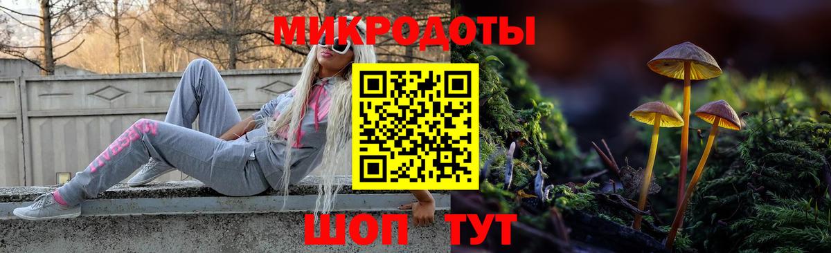 Псилоцибиновые грибы Cubensis Барнаул