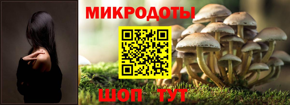 Барнаул  Псилоцибиновые грибы мицелий  Вход с VPN 